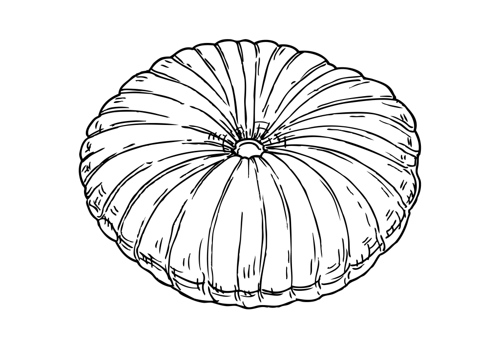 Coussins d'extérieur sur mesure